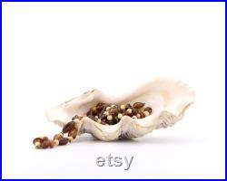 Coquillage ancien petit bénitier ou Tridacne, années 70 bohème chic, folk, nature, naturel, boho, porte savon, salle de bain