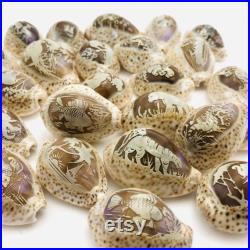 Coquillages gravés, cabinet de curiosité, cauris, porcelaine, petit coquillage artisanat, idée cadeau, dauphin, lion, hippocampe, poisson Coquillages gravés, cabinet de curiosité, cauris, porcelaine, petit coquillage artisanat, idée cadeau, dauphin, lion, hippocampe, poisson