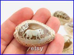 Coquillages gravés, cabinet de curiosité, cauris, porcelaine, petit coquillage artisanat, idée cadeau, dauphin, lion, hippocampe, poisson Coquillages gravés, cabinet de curiosité, cauris, porcelaine, petit coquillage artisanat, idée cadeau, dauphin, lion, hippocampe, poisson