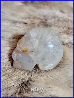 Cornaline Agate Crâne de cristal crâne en pierre