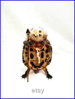 Corps complet Tortue Taxidermy Gaff Snake Reptile Lizard vison crâne os