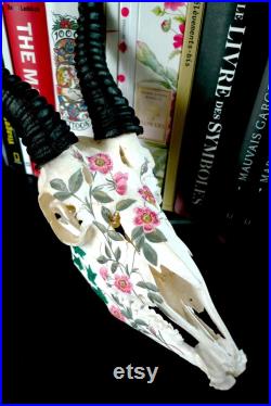 Crâne complet d'antilope springbok peint à la main au pinceau à l'acrylique motif botanique de fleurs roses et de lierre