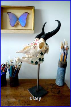 Crâne complet d'antilope springbok peint à la main au pinceau à l'acrylique motif botanique de fleurs roses et de lierre