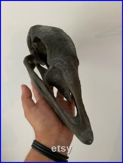 Crane d'Oiseau Elephant Aepyornis Maximus de Madagascar museum quality