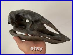 Crane d'Oiseau Elephant Aepyornis Maximus de Madagascar museum quality