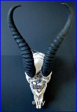 Crâne d'antilope springbok peint à la main motif tatouage sacré coeur et chapelet
