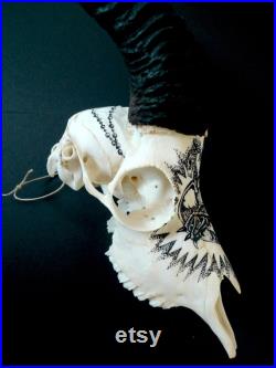 Crâne d'antilope springbok peint à la main motif tatouage sacré coeur et chapelet