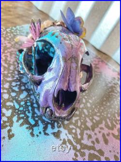 Crâne de Bobcat peint Crâne de Bobcat Bizarrerie Décor gothique Taxidermie Décor de crâne Bone Art Crâne de chat réel Os d animaux décorés