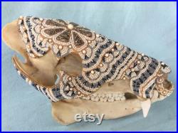 Crâne de Javelina, Cab de Jasper de peau de léopard, perles d ivoire de morse fossile