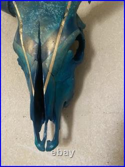 Crâne de Vache Taureau Bull Skull Peinture Sur Crâne Taxidermie Curiosités