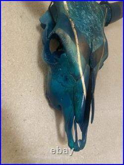 Crâne de Vache Taureau Bull Skull Peinture Sur Crâne Taxidermie Curiosités