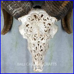 Crâne de bélier sculpté, crâne de mouton avec corne, sculpture de crâne de mouton faite à la main, tentures murales vintage, décor mural, sculpture d os, art du crâne fabriqué à la main
