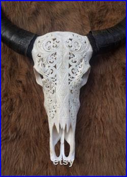 Crâne de buffle sculpté Crâne de taureau Art tribal simple Crâne de vache Crâne sculpté d animal