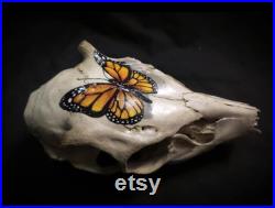 Crâne de cerf peint de papillon de monarque Crâne peint Crâne de papillon Crâne de cerf
