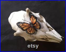 Crâne de cerf peint de papillon de monarque Crâne peint Crâne de papillon Crâne de cerf