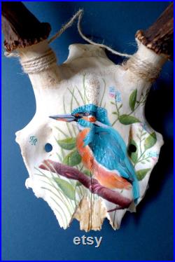 Crâne de cerf vintage peint à la main à la peinture acrylique motif de martin pêcheur et de myosotis