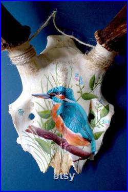 Crâne de cerf vintage peint à la main à la peinture acrylique motif de martin pêcheur et de myosotis