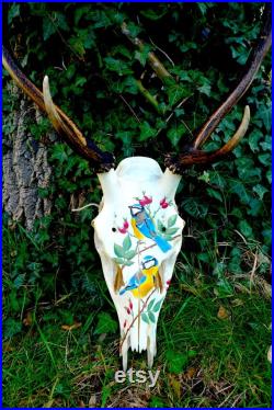 Crâne de cerf vintage peint à la main à la peinture acrylique motif de mésanges bleues et d'églantier
