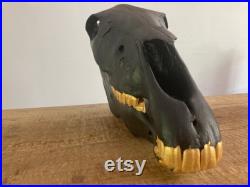 Crâne de cheval restauré