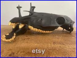 Crâne de cheval restauré