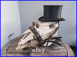 Crâne de cheval steampunk