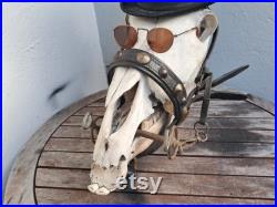 Crâne de cheval steampunk