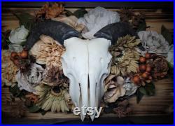 Crâne de chèvre à corne noire avec bois brûlé