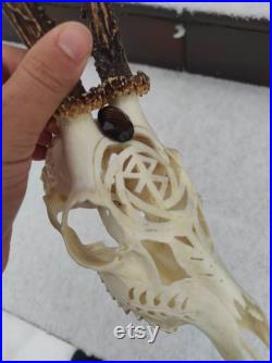 Crâne de chevreuil sculpté véritable crâne de chevreuil européen avec rune sculptée et quartz naturel fumé fait sur commande cadeau parfait pour elle lui