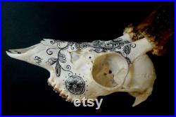 Crâne de chevreuil vintage peint à la main à l'encre de Chine motif inspiration tatouage