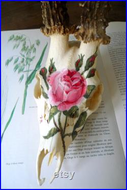 Crâne de chevreuil vintage peint à la main à la peinture acrylique motif délicat de rose inspiré d'une planche botanique ancienne