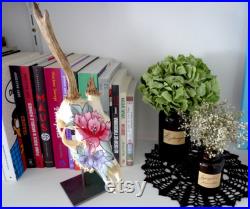 Crâne de chevreuil vintage peint à la main motif floral