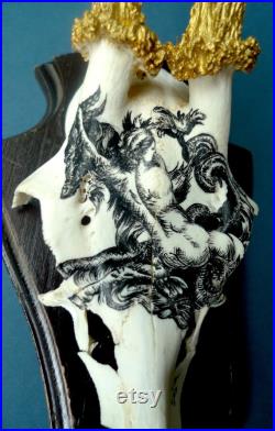 Crâne de chevreuil vintage peint à la main motif inspiré d'une gravure ancienne