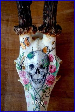 Crâne de chevreuil vintage peint à la main motif vanité crâne humain scarabée roses papillons