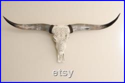 Crâne de long corne, crâne de taureau sculpté, crâne de buffle d eau avec cornes de poumon polies, crâne de buffle d eau coupé, décoration occidentale