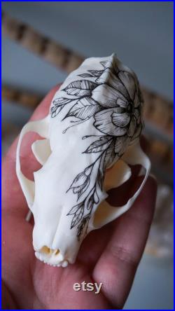 Crâne de martre peint à la main