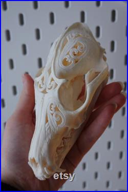 Crâne de renard roux sculpté à la main