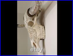 Crâne gravé, crâne rustique, crâne de buffle d eau avec cornes pulmonaires, décoration intérieure, motif tribal Boho avec de vraies cornes pulmonaires