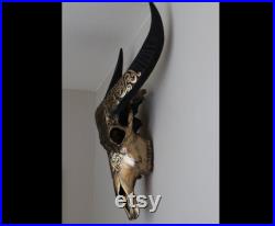 Crâne original de buffle, cornes décorées de crâne, motif oriental, cornes décorées de buffle, finition en bronze en laiton, décoration murale