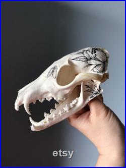 Crâne peint à la main du renard rouge