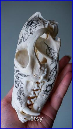 Crâne peint à la main du renard roux