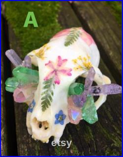 Crânes floraux et de chat de cristal