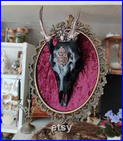 Curiosités and Bizarreries Skull Skull Frame Deco Collection Taxidermie Sika Deer Skull sur Brass Frame Vintage avec Couronne et Broche