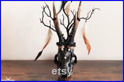 Décor d Halloween Crâne de chevreuil européen tribal vaudou avec des bois et des plumes naturels pour un décor intérieur sombre et effrayant