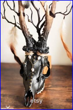 Décor d Halloween Crâne de chevreuil européen tribal vaudou avec des bois et des plumes naturels pour un décor intérieur sombre et effrayant