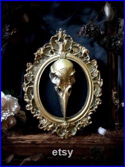 Décoration gothique cabinet de curiosités halloween sorcière taxidermie spécimen humide bohème taxidermie insecte sous cloche crane vintage