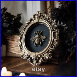 Décoration gothique cabinet de curiosités halloween sorcière taxidermie spécimen humide bohème taxidermie insecte sous cloche crane vintage