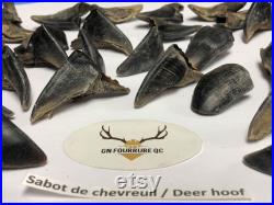Deer hooves