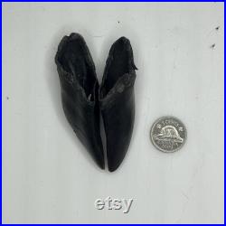 Deer hooves