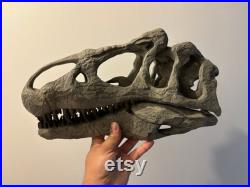 Dinosaure crâne de Allosaurus Big al réplique Dinosaur Fossil skull