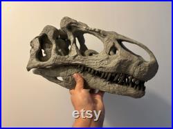 Dinosaure crâne de Allosaurus Big al réplique Dinosaur Fossil skull